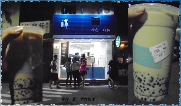 0新竹-河堤上的貓.jpg 0新竹-河堤上的貓.jpg