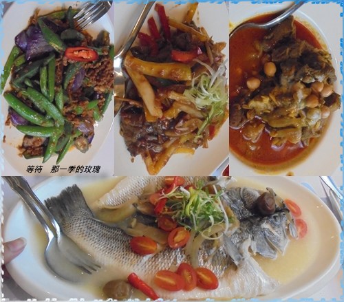 0竹北-馬六甲7.jpg 0竹北-馬六甲7.jpg