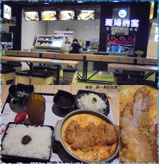 0新竹-斑鳩的窩