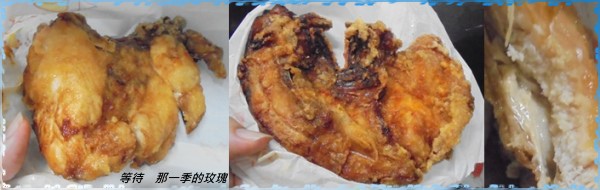 0新竹-魔法園2 0新竹-魔法園2