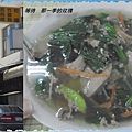 0新竹-飛烏1.jpg