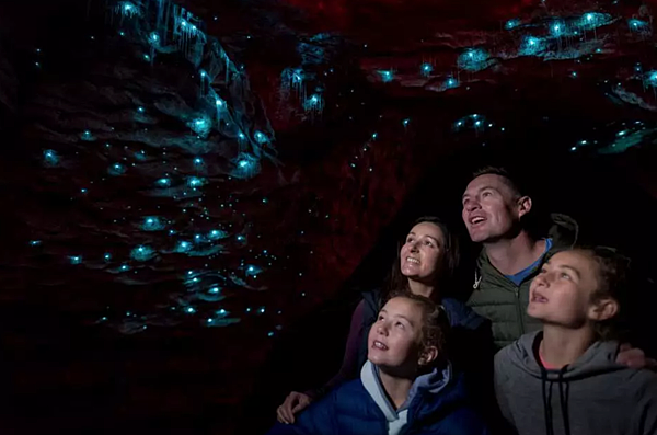 螢幕快照 2020-02-28 上午9.12.18.png