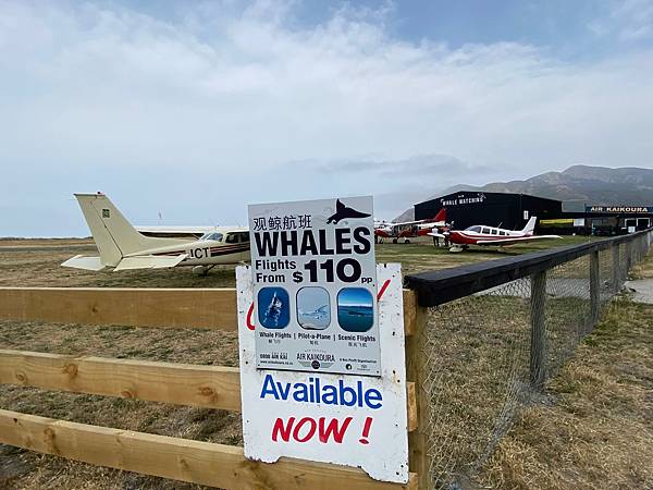 IMG_4996.jpg IMG_4996.jpg