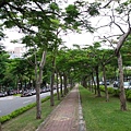 20070724_台南成大校園取景 (51).JPG