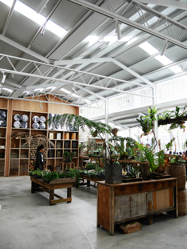 02空氣圖書館植栽區.jpg - 梅山太平老街、太平雲梯