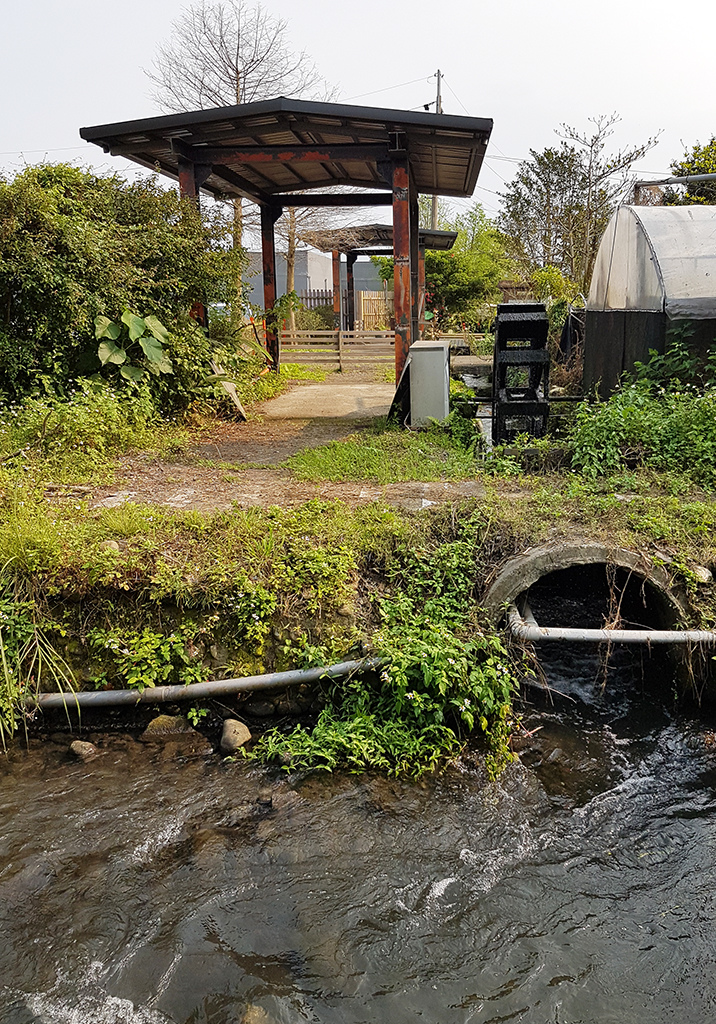 13水道.jpg - 宜蘭勝洋水草休閒農場