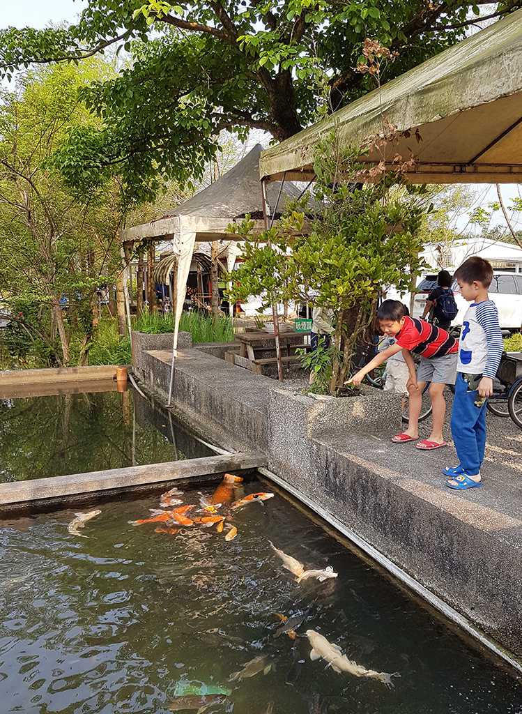 09餵魚區.jpg - 宜蘭勝洋水草休閒農場