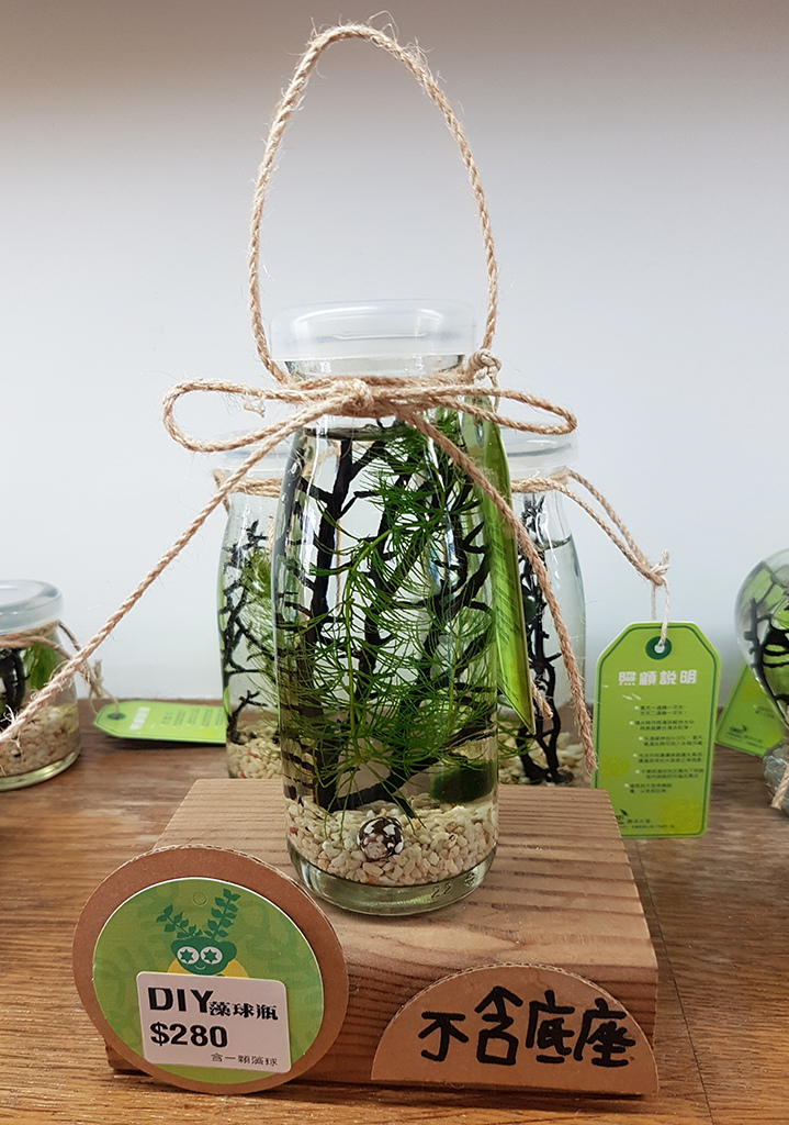 22綠藻瓶.jpg - 宜蘭勝洋水草休閒農場