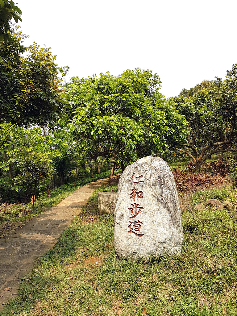 08仁和步道.jpg