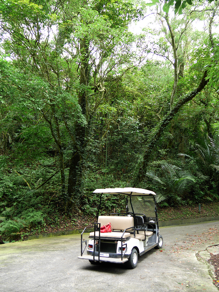 27電動遊園車.jpg