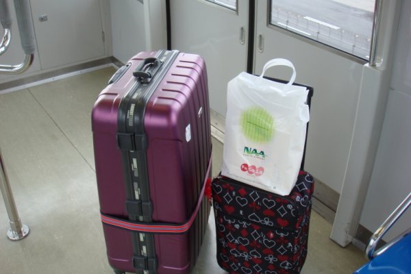 25公斤的行李.JPG