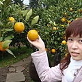 橘子想吃嗎.jpg
