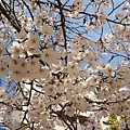 20140401_091344.jpg