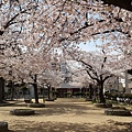 20140401_091437.jpg