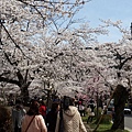 20140403_120447.jpg