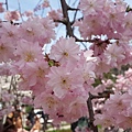 20140403_120545.jpg