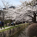 20140403_120616.jpg