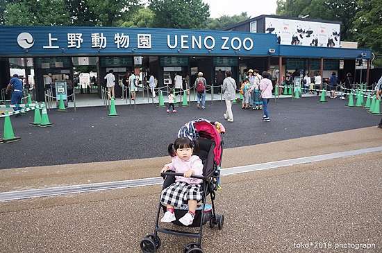 18東京秘密旅行 Day5 親子旅遊必排行程 上野動物園 開出夢想的花朵 痞客邦