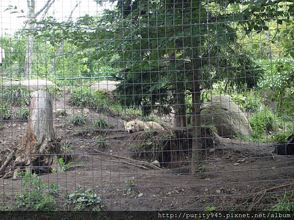 旭山動物園2014.8.26