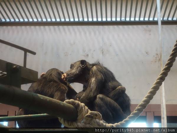 旭山動物園2014.8.26