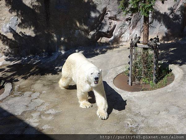 旭山動物園2014.8.26