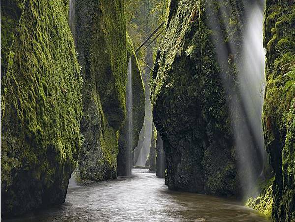 oneonta gorge.JPG