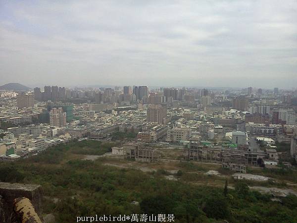 IMG20101226_003_副本