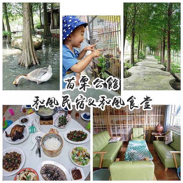 68422715_2379071518845903_4173039007032147968_n