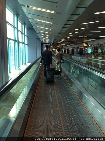 新加坡過境 新加坡過境