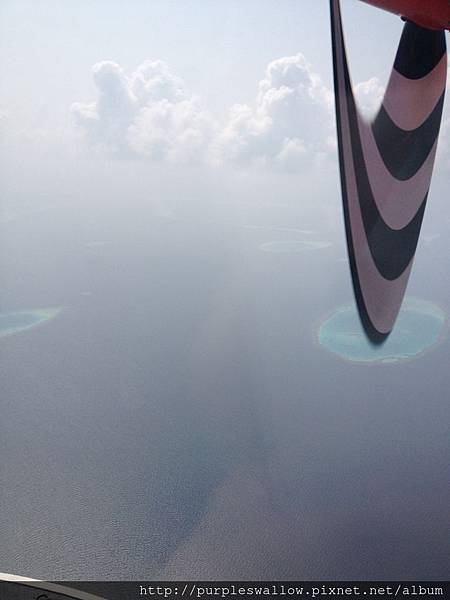 水上飛機 水上飛機