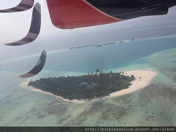 水上飛機 水上飛機