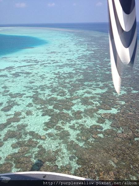 水上飛機 水上飛機