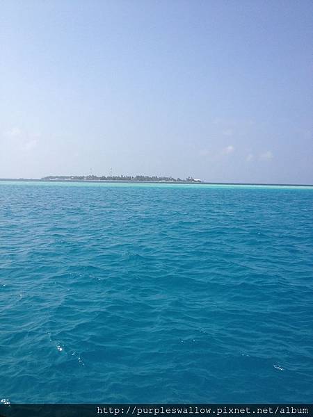 水上飛機 水上飛機