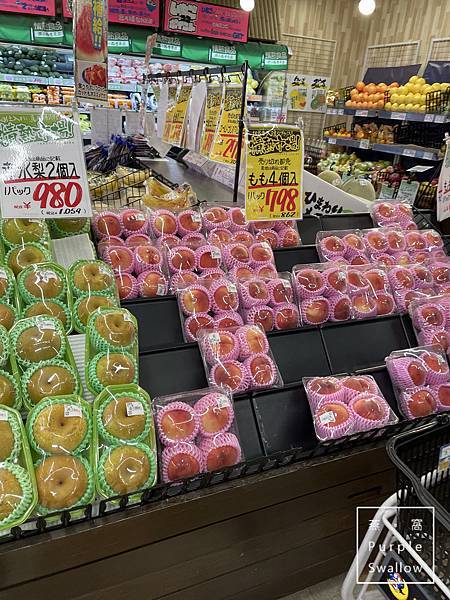 [日本。北海道]202308北海道九天八夜親子自駕自由行Da