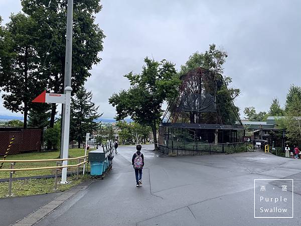 [北海道。旭川]旭山動物園-近距離觀看溫帶、寒帶動物，企鵝和