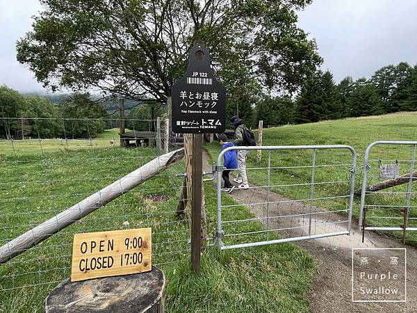 [日本。北海道]202308北海道九天八夜亲子自驾自由行Da