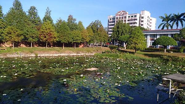 75486132_2643593748997240_2352080556948193280_n 75486132_2643593748997240_2352080556948193280_n