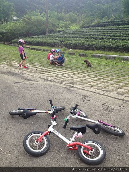 IMG_6437 IMG_6437