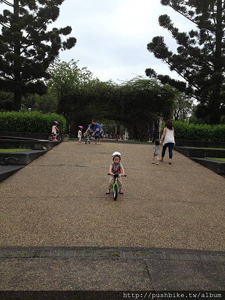 IMG_6530 IMG_6530