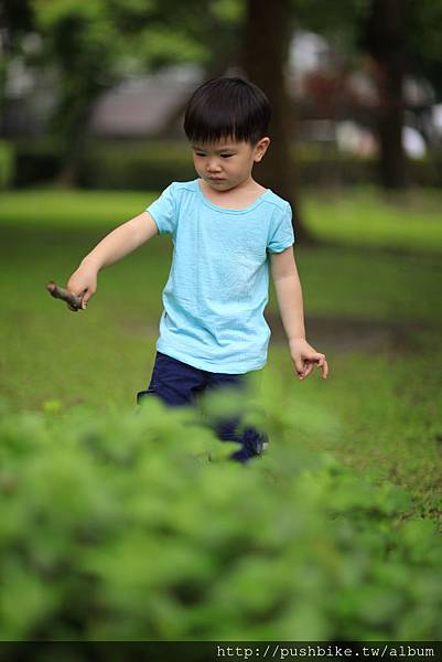 _MG_0388 _MG_0388