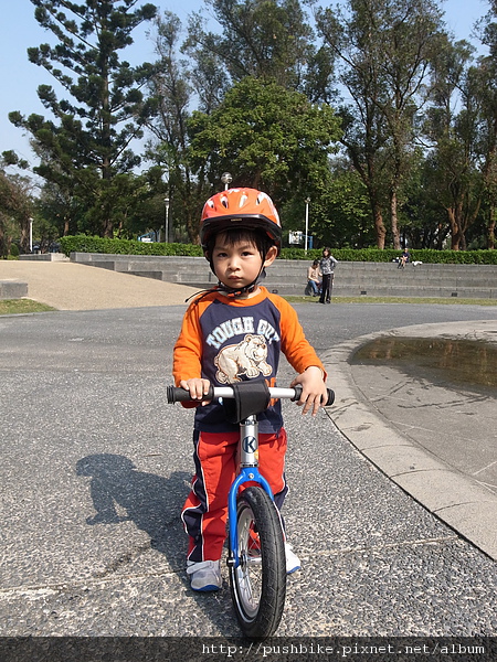 R0018776.jpg R0018776.jpg