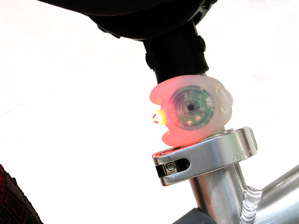 froglight rot.jpg froglight rot.jpg
