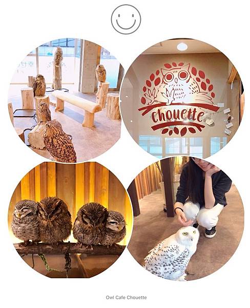 ▌日本大阪 ▌ 心齋橋必訪貓頭鷹咖啡廳 フクロウカフェ Owl Cafe Chouette