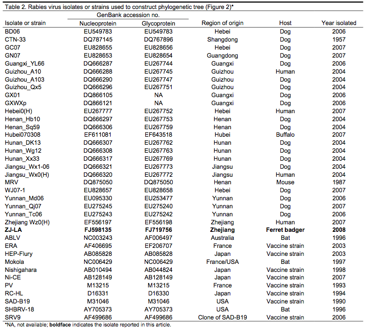 ferret badger type rabies virus in China