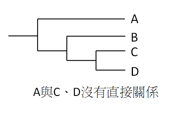 A and CD evolve independently