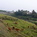 P2052272