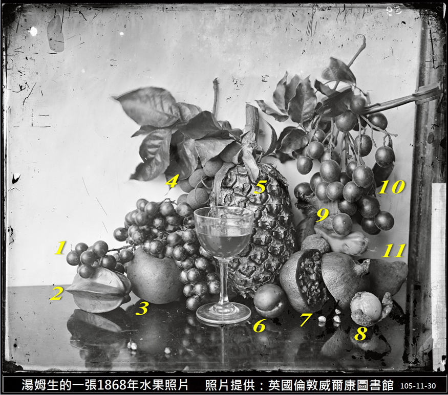 標示威爾康.PNG 標示威爾康.PNG