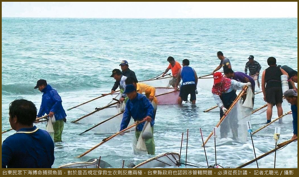 台東撈魚苗.PNG 台東撈魚苗.PNG