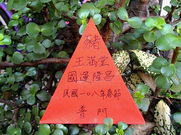 IMG_4197-豬玉滿堂立體紅包.jpg IMG_4197-豬玉滿堂立體紅包.jpg