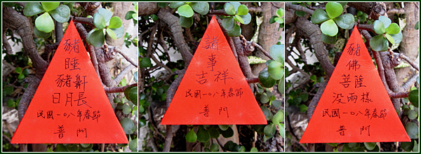 豬佛菩薩沒兩樣-合併.PNG 豬佛菩薩沒兩樣-合併.PNG
